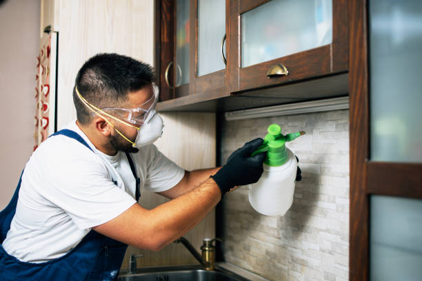 Best Cockroach Control Services  in Fenton, MO