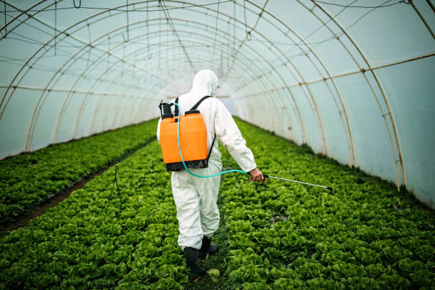 Reliable Fenton, MO Pest Control Solutions