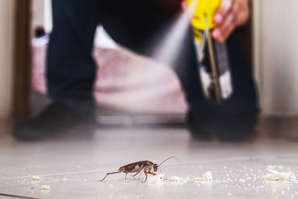 Reliable Fenton, MO Pest Control Solutions